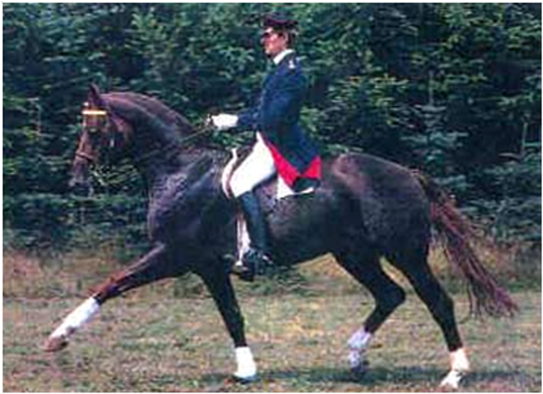 Brentano II Brentano II