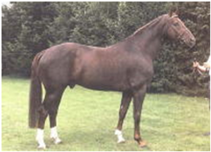 Brentano II Brentano II