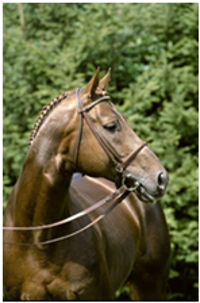 Brentano II Brentano II