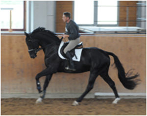 Don Dancier (imp) Don Dancier (imp)