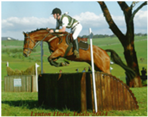 Remi Geiger Counter Remi Geiger Counter