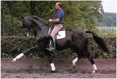 Fishermans Friend Pik Bube I Fishermans Friend Pik Bube I