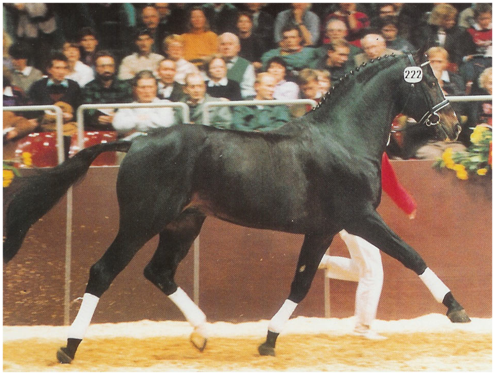 Fishermans Friend Pik Solo Fishermans Friend Pik Solo