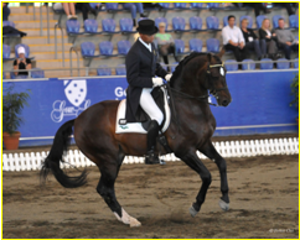 Fishermans Friend Fishermans Friend