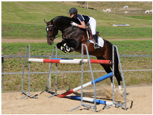 Fishermans Friend Fishermans Friend