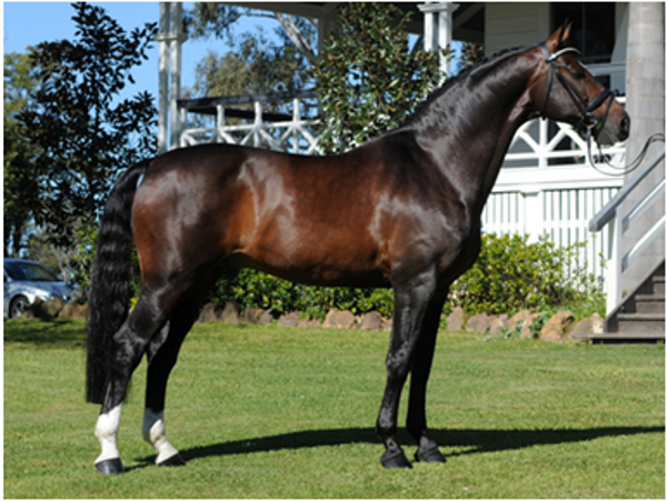 Fishermans Friend (Imp) Fishermans Friend (Imp)