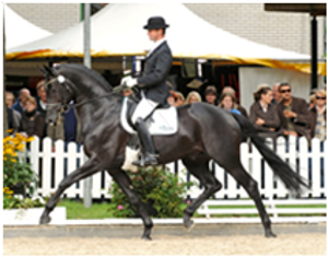 Lauries As Lauries As