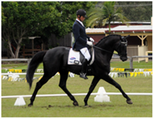 Lauries As Lauries As