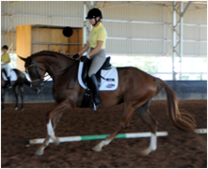 Remi Lady Locksley PR & EMC Remi Lady Locksley PR & EMC