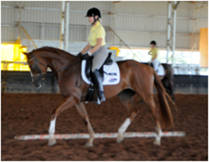 Remi Lady Locksley PR & EMC Remi Lady Locksley PR & EMC