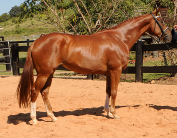 Remi Lady Locksley PR & EMC Remi Lady Locksley PR & EMC