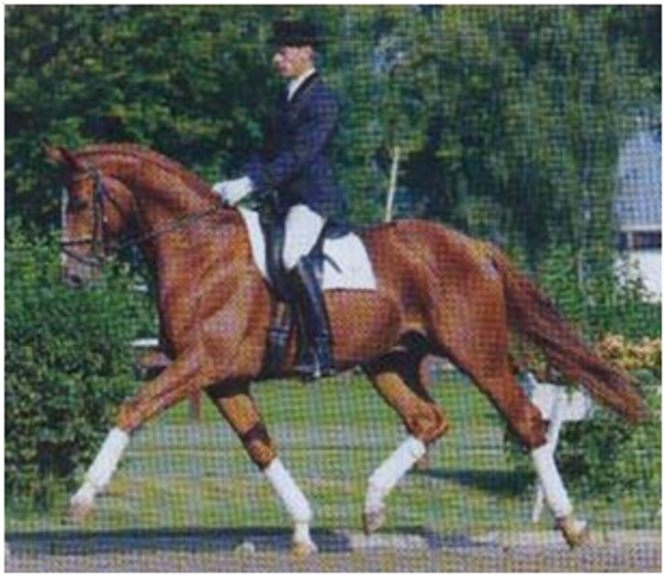 Locksley II Locksley II