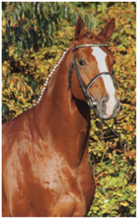 Locksley II Locksley II