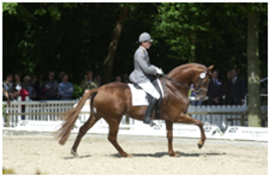 Londonderry 3 Londonderry 3