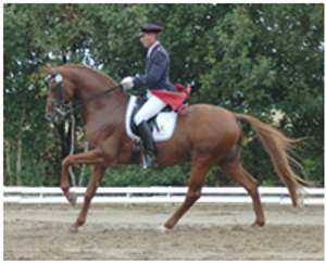 Londonderry 4 Londonderry 4