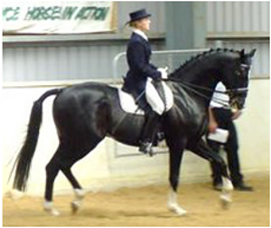 Prince Noir Prince Noir