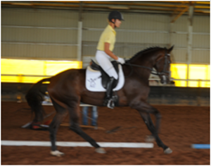 Remi Bridal Shower Remi Bridal Shower