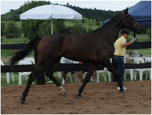 Remi Bridal Shower Remi Bridal Shower