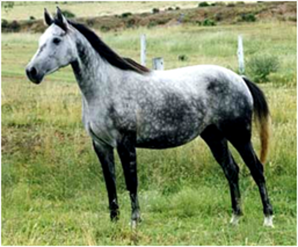 Remi Daylight Saving Remi Daylight Saving