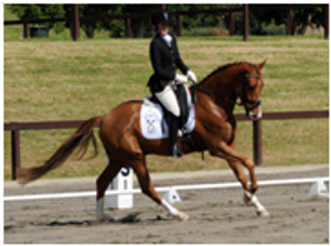 Remi Double Leopardy Remi Double Leopardy