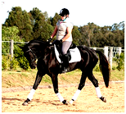 Youngsters Sold Remi Ambience Youngsters Sold Remi Ambience