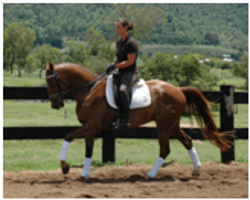 Youngsters Sold Remi Armani Youngsters Sold Remi Armani