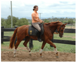 Youngsters Sold Remi Bohemian Rhapsody Youngsters Sold Remi Bohemian Rhapsody