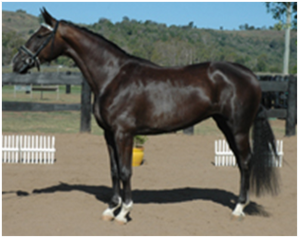 Remi Destinys Child Remi Destinys Child