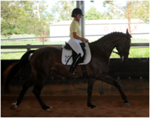 Remi Eastern Star Remi Eastern Star