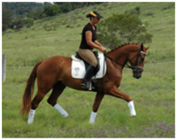 Youngsters Sold Remi Faberge Youngsters Sold Remi Faberge