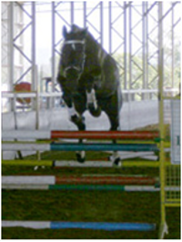 Remi Fatal Attraction Remi Fatal Attraction