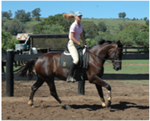 Remi Fatal Attraction Remi Fatal Attraction