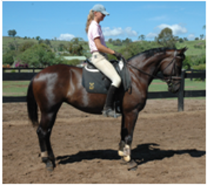 Remi Fatal Attraction Remi Fatal Attraction