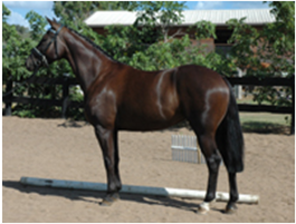 Remi Fatal Attraction Remi Fatal Attraction