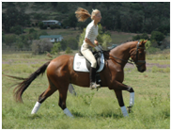 Youngsters Sold Remi Fifth Avenue Youngsters Sold Remi Fifth Avenue