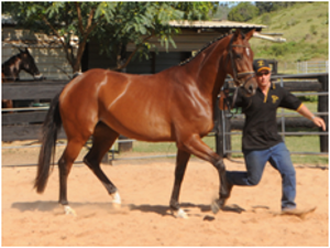 Remi Florence Nightingale Remi Florence Nightingale