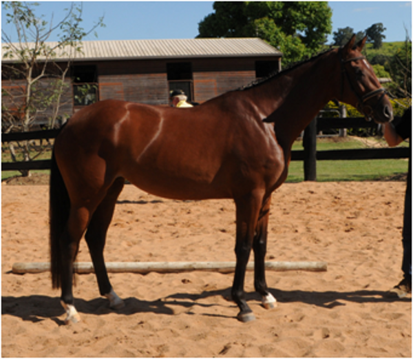 Remi Florence Nightingale Remi Florence Nightingale