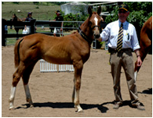 Remi Westminster Remi Westminster