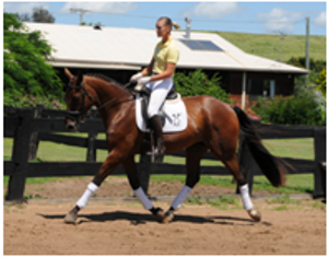 Remi Flashdance Remi Flashdance