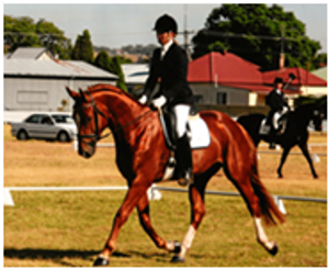 Remi Westminster Remi Westminster