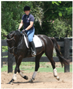 Youngsters Sold Remi Pinup Youngsters Sold Remi Pinup