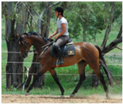 Youngsters Sold Remi Wave Sensation Youngsters Sold Remi Wave Sensation