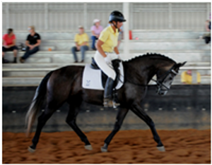 Remi Sunset Boulevard Remi Sunset Boulevard