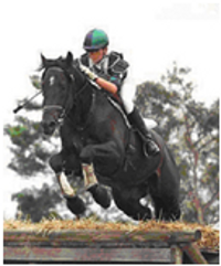 Remi West Side Story Remi West Side Story