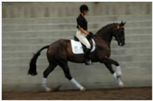 Remi Wolkensong Remi Wolkensong