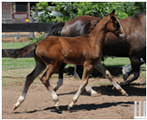 Remi Fishermans Friend Remi Fishermans Friend