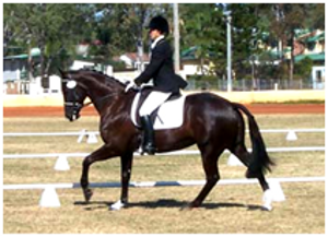 Remi World Vision Remi World Vision