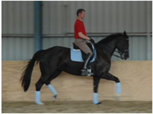 Remi World Vision Remi World Vision