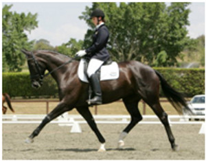 Remi World Vision Remi World Vision