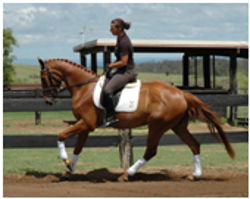 Youngsters Sold Remi Wynchester Youngsters Sold Remi Wynchester